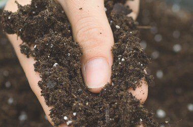 Nutrient Storehouse: 5 Great Reasons to Compost