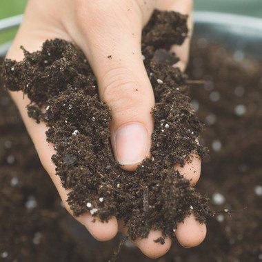 Nutrient Storehouse: 5 Great Reasons to Compost