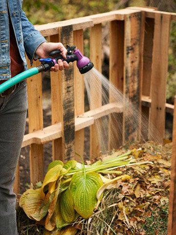 Amp Up Efficiency with Smart Watering Tips
