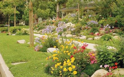 Enhance Curb Appeal with a Colorful Garden Plan