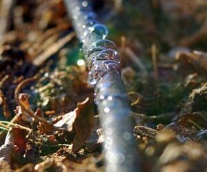 Water Smart: Modern Water Management for Colorado Landscapes