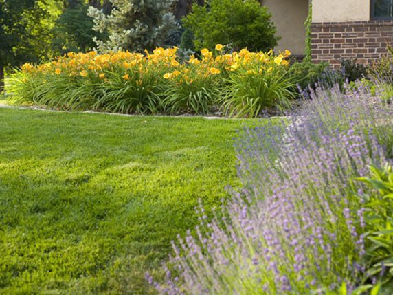 historic-renovation_denver_6
