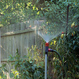 watering-garden-300