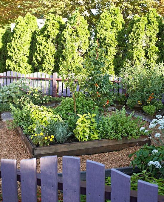 Natural Pest Control Solutions for Colorado Gardens