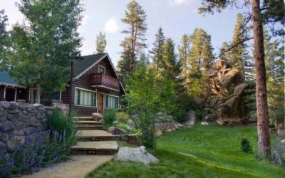 A Colorado Gardener’s August Checklist