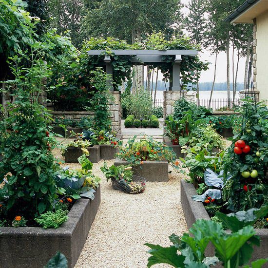 Get the Most Out of Your Second Harvest
