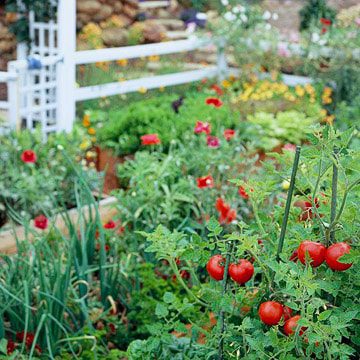 Tips for Starting a Garden in the Fall