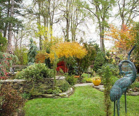 Prepare Your Colorado Garden for Winter