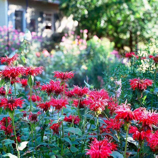 Don’t “Fall” Victim to These Gardening Blunders