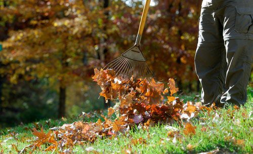 Fall Garden Preparations for a Colorado Winter