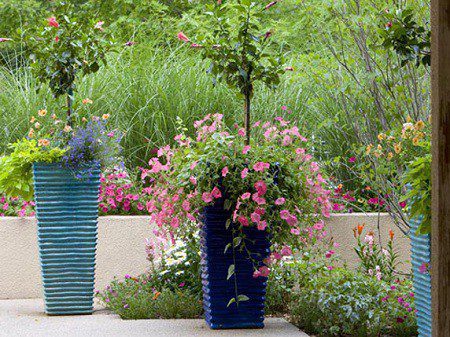 5 Container Gardening Mistakes to Avoid This Winter