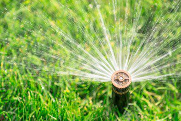 Water Saving Tips for Water-Wise Landscapes