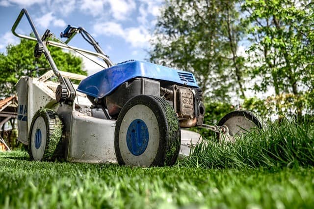 Preventative Landscape Maintenance: Final tips to prepare for the freeze