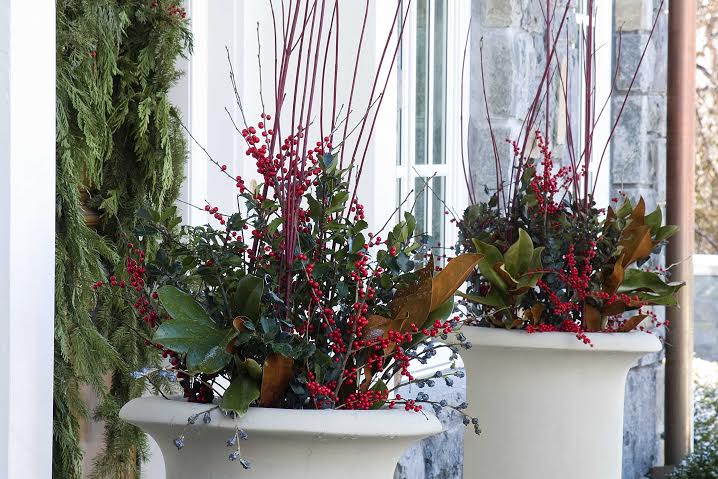 Fall and Winter Containers: Keep the Color Alive