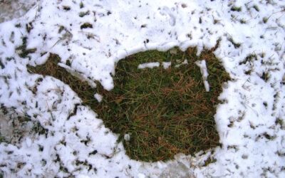 Water in the Winter
