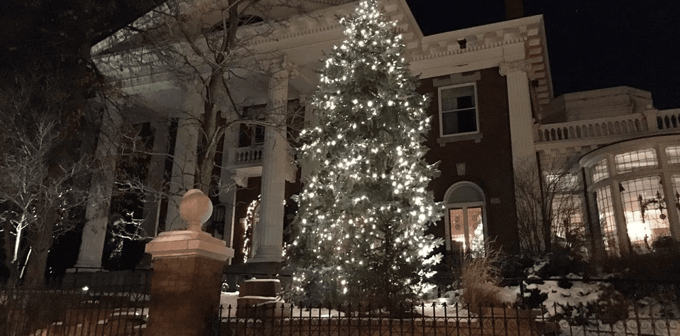 Governor's Mansion Tree