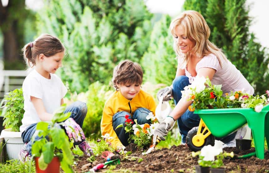 New Year, New You…New Yard