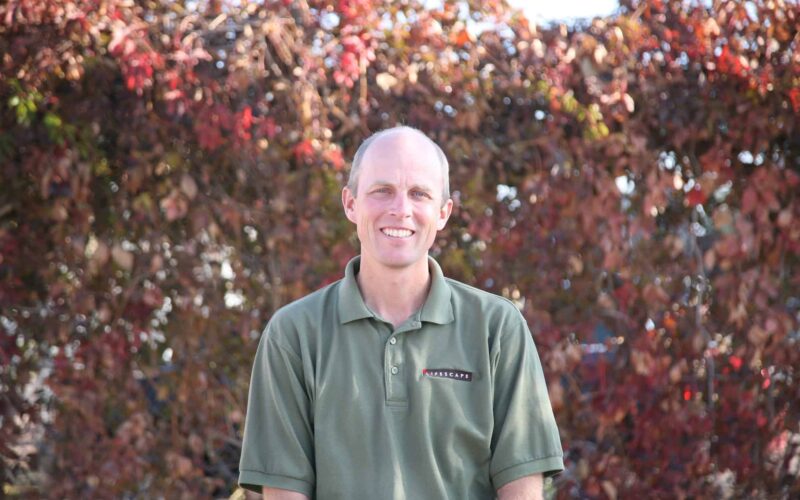 landscaping denver