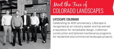landscape supply denver