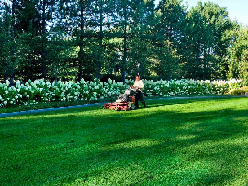 Winter Landscaping Preventative Maintenance