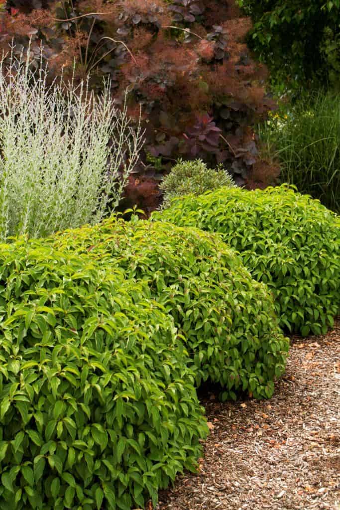 home curb appeal landscape