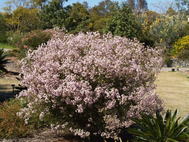fall garden preparation