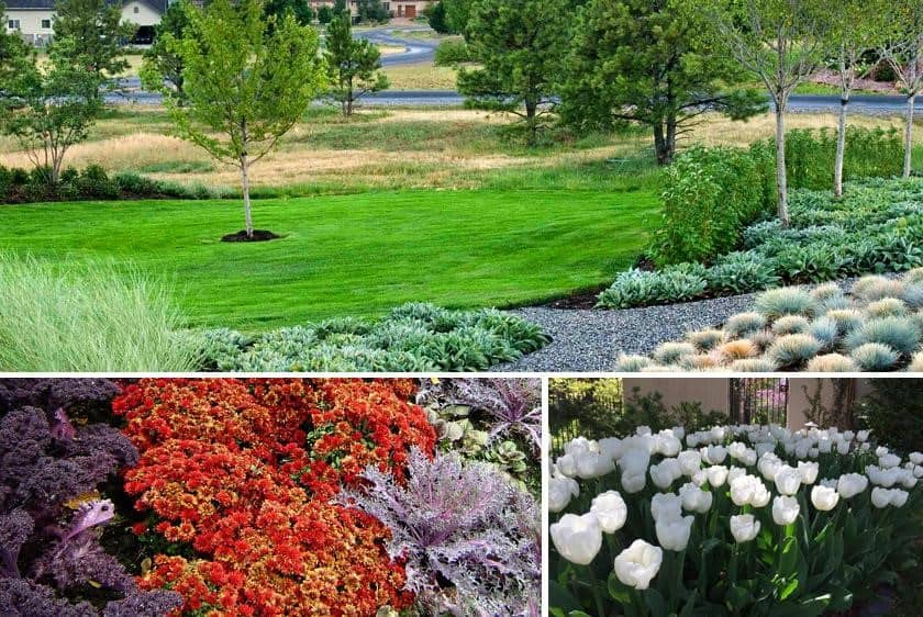Best Landscape Enhancements for Fall