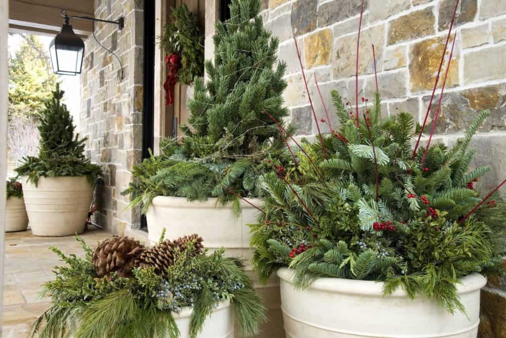 winter holiday planters with evergreens and pinecones