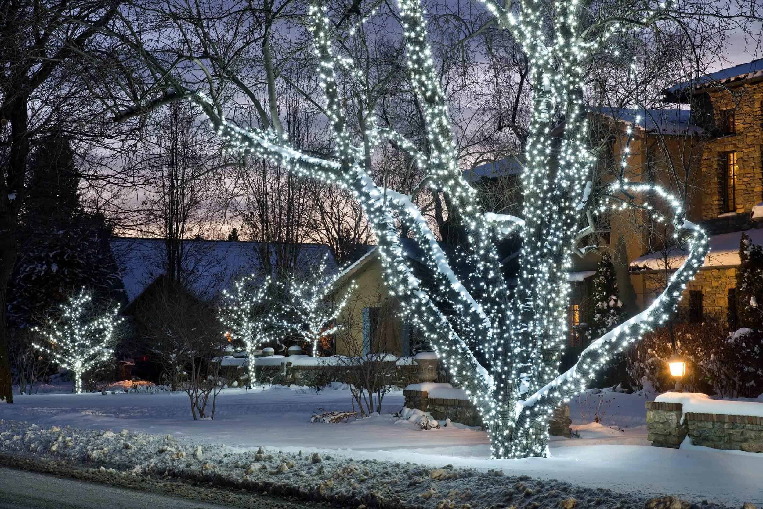 governors mansion holiday lighting