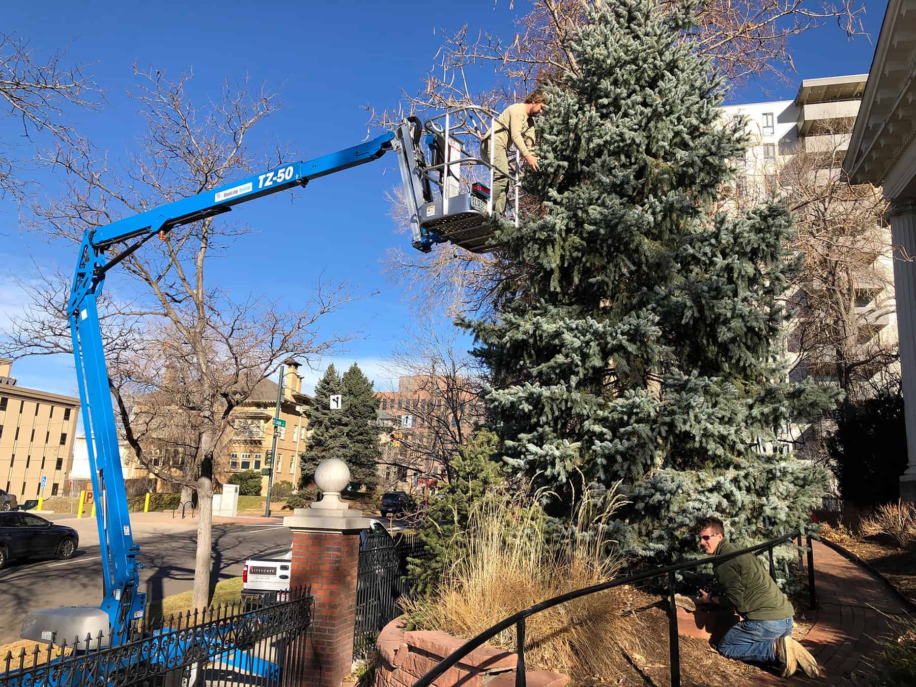 Holiday lights strung along trees at the Colorado Governor's Mansion