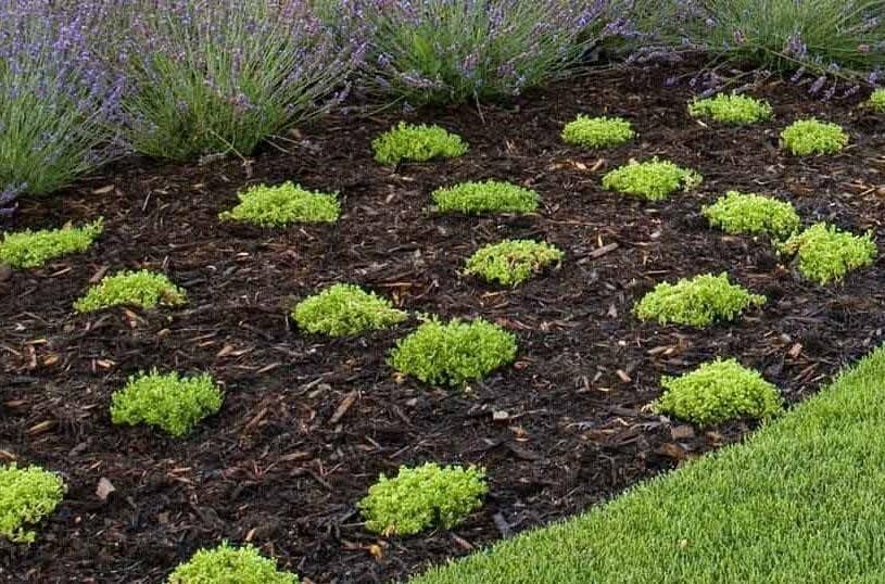 seasonal landscape color