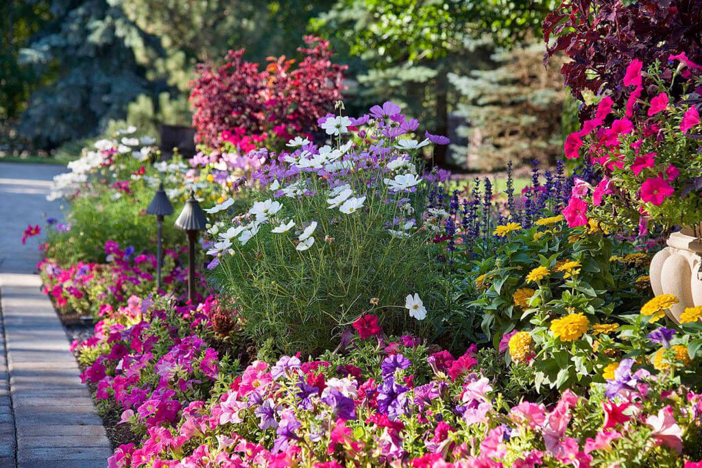 organic fertilizer landscape