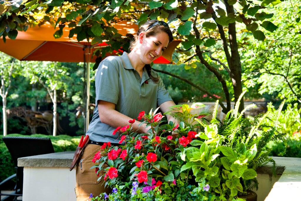 gardener tending to colorful planter