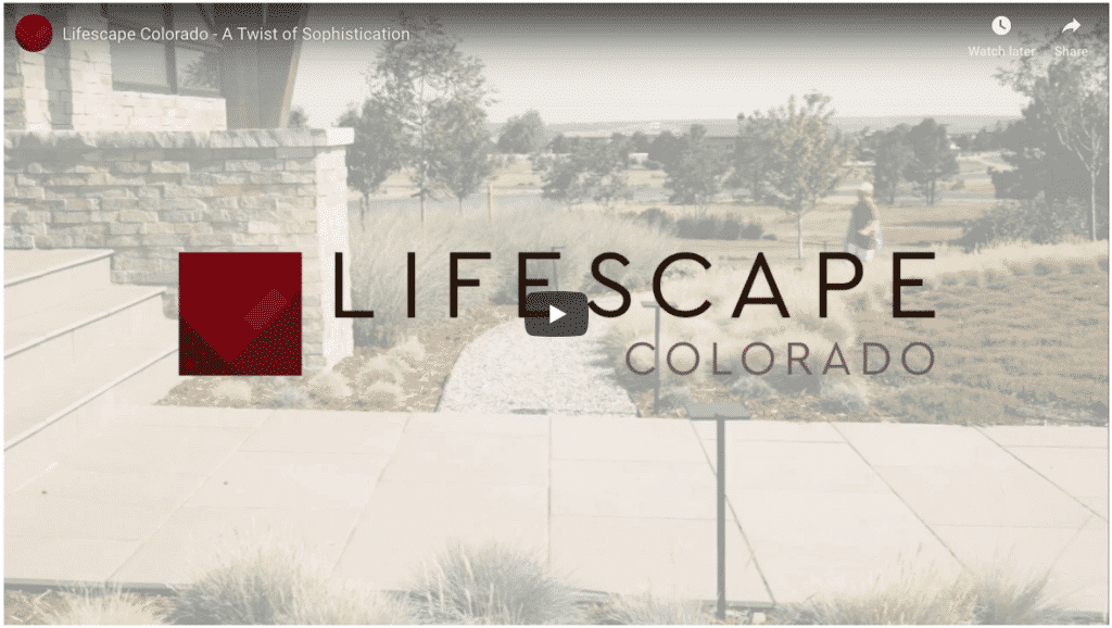 Lifescape Colorado logo on video title screen