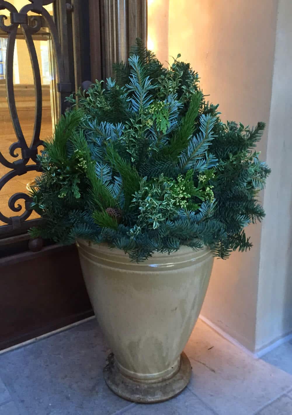 tall winter evergreen container