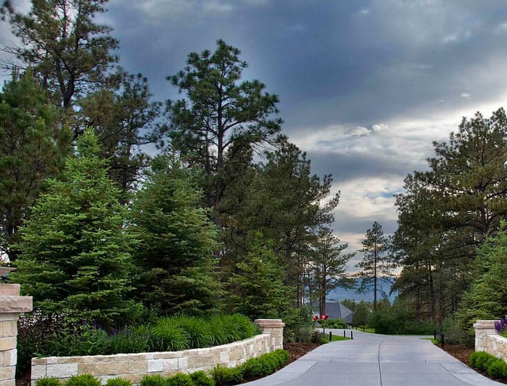 scenic driveway entrance with stone retaining walls and pine trees