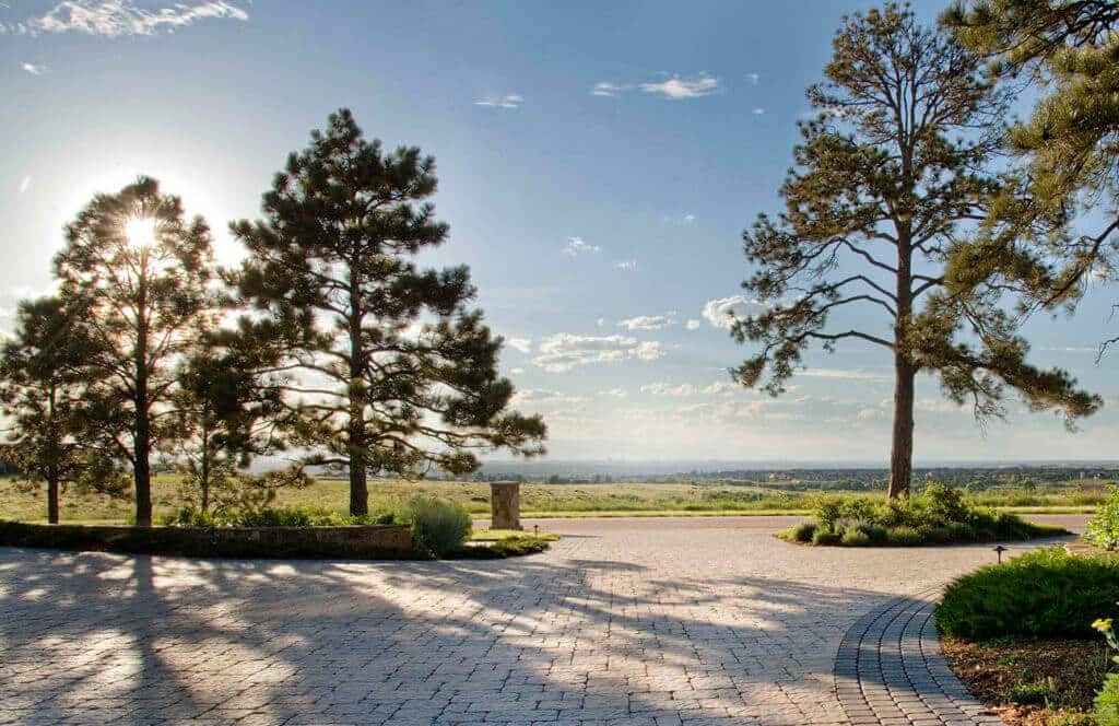 scenic paved driveway with pine trees and city view