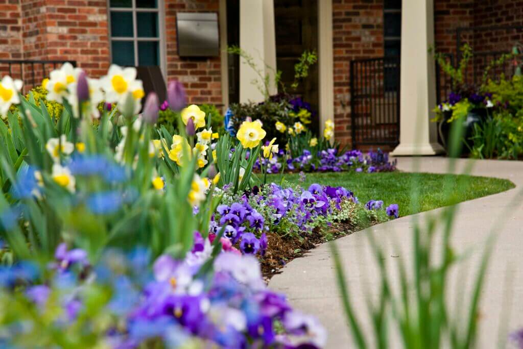 curved concrete sidewalk lined with spring flowers
