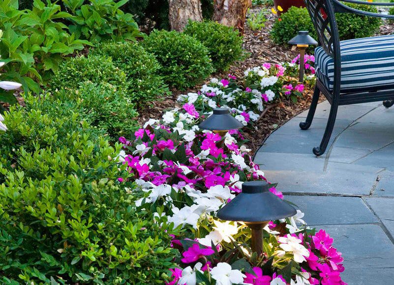 garden bed featuring pink and white impatiens flowers