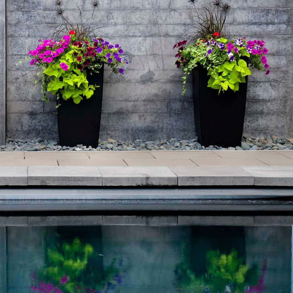 pair of tall black modern planters