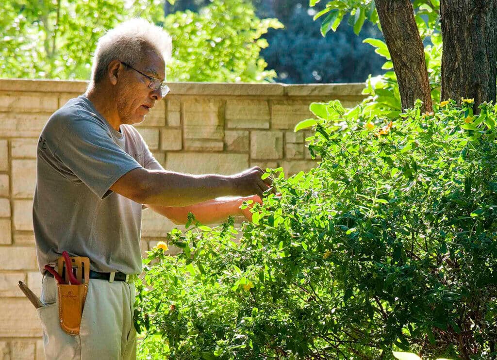 older man with white hair and glasses