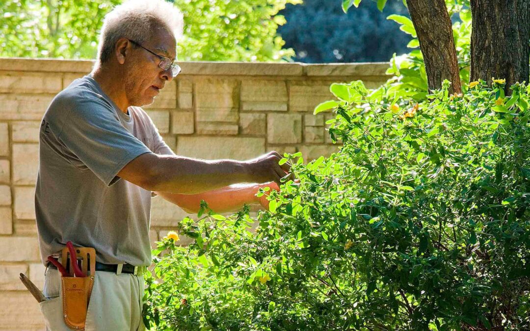 Personalized property care keeps your landscape investment green and growing.