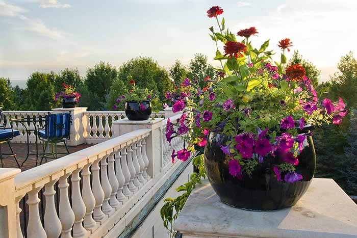 Expert Advice: A 6-Step Guide to Container Plantings