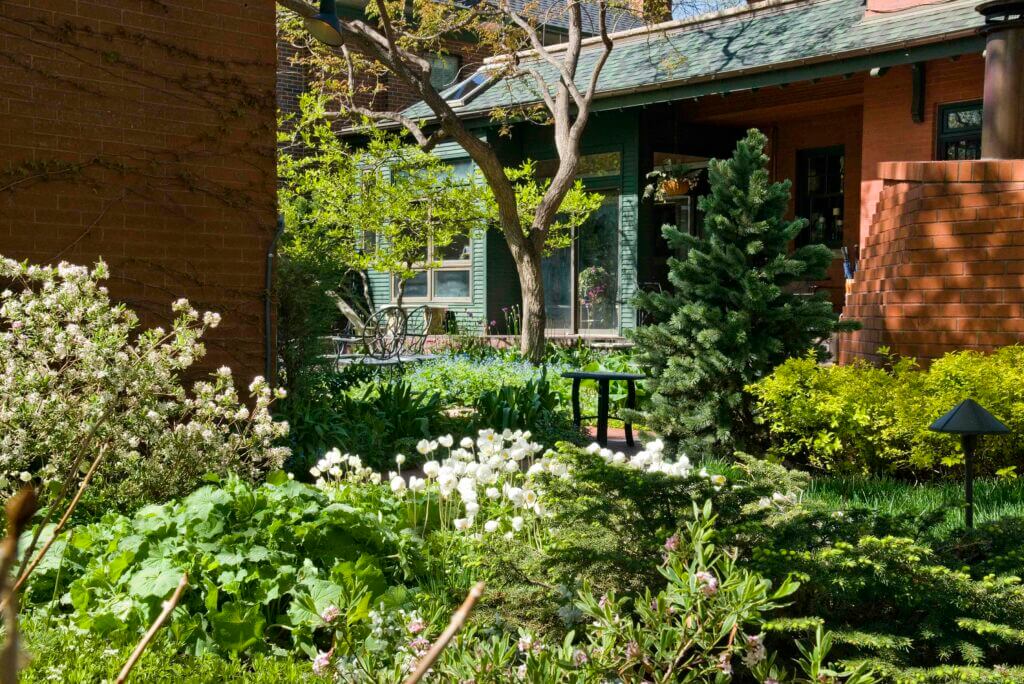 lush, mature front yard garden area