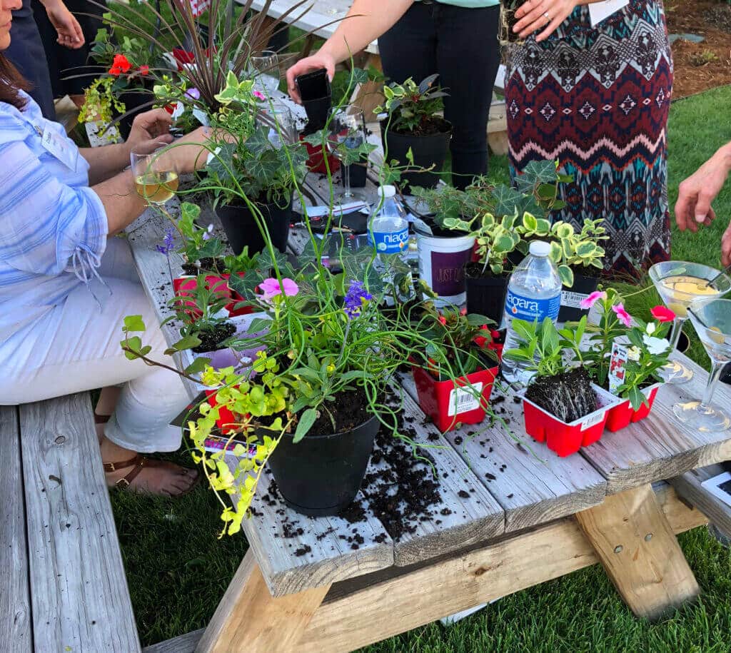 close-up of an outdoor wooden picnic table covered in small potted plants