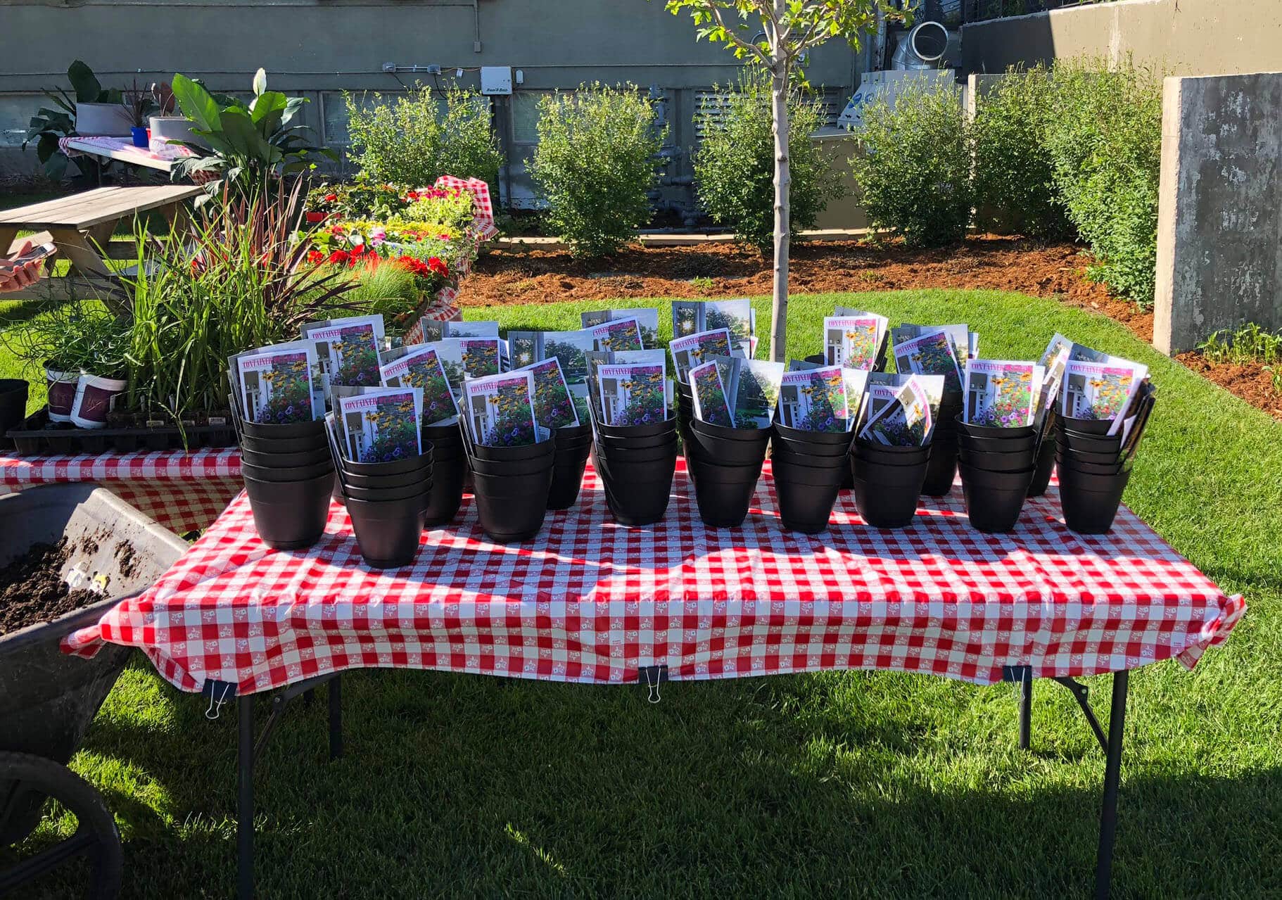 container planting party