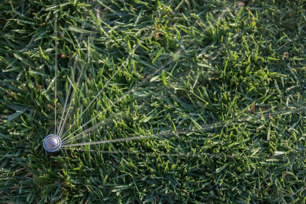close-up, aerial view of a pop-up sprinkler head watering a dense, green turfgrass lawn