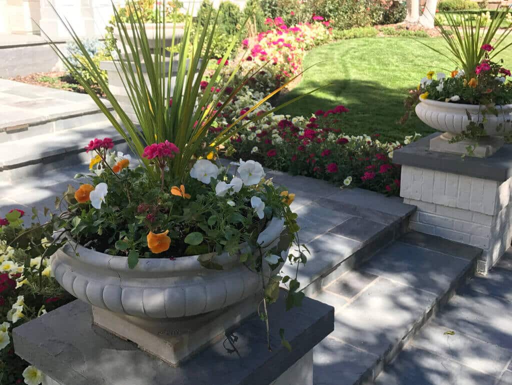 front yard view featuring large, decorative white stone urns on square pillars flanking gray stone steps