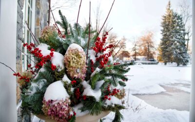What to do now to prepare landscapes for these winter chills and for spring growth.
