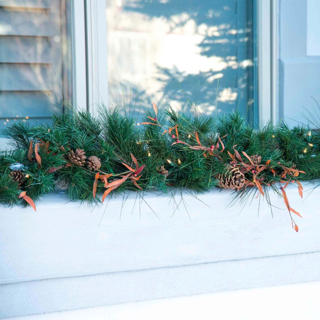 pine